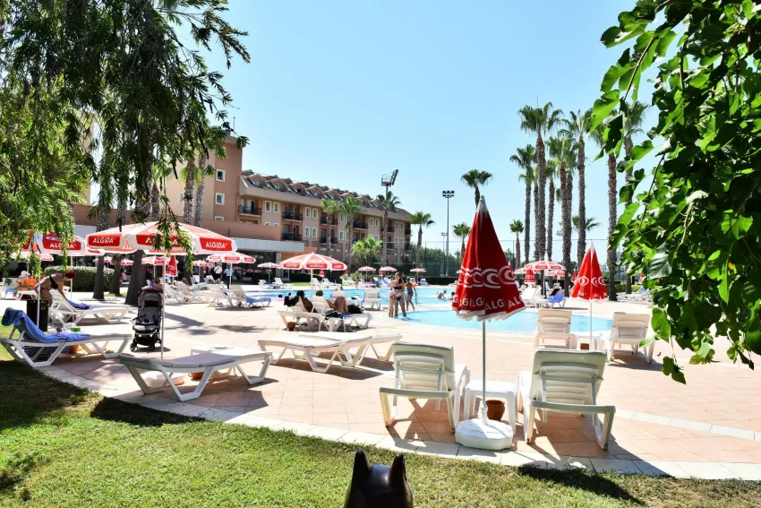 Viking Park Hotel 4*-3