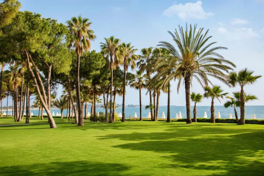 ACANTHUS & CENNET BARUT COLLECTION  5*-12