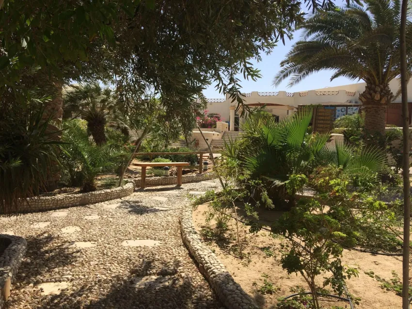 Coral Beach Resort Hotel 4*-112