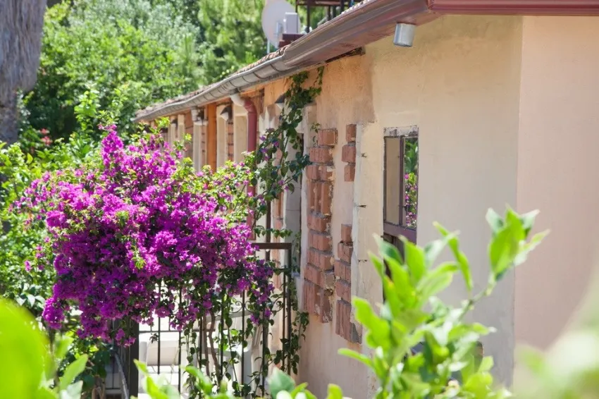 Leda Beach Hotel 3*-13