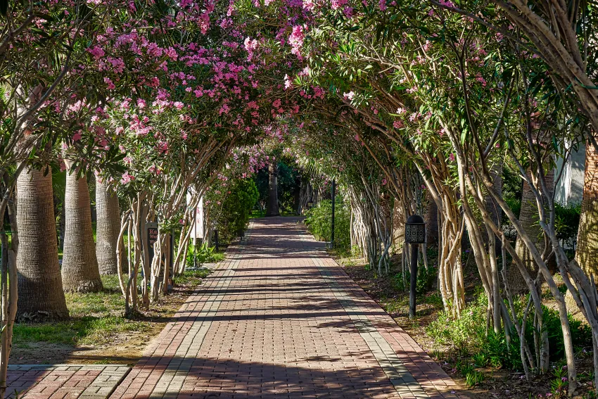 Seaden Sea World Resort & Spa 5*-9