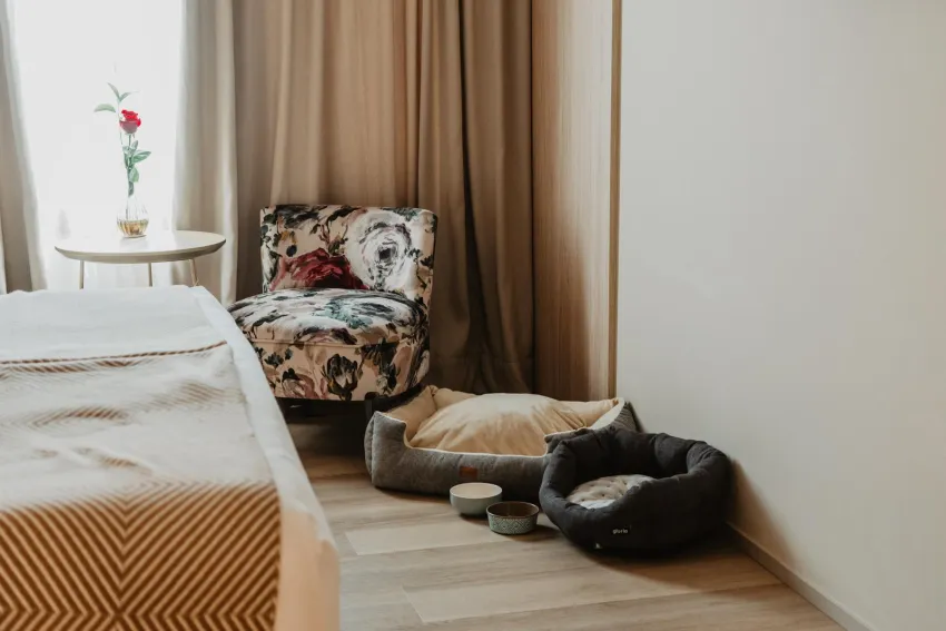 Nivia Born Boutique Hotel 5*-33