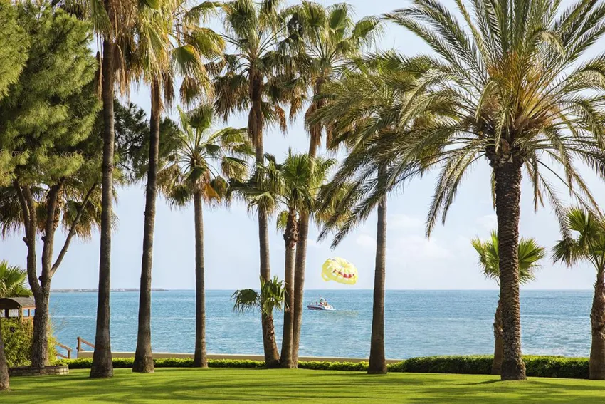 ACANTHUS & CENNET BARUT COLLECTION  5*-50