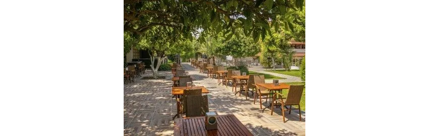 Dg Hotels Rose Resort 4*-27