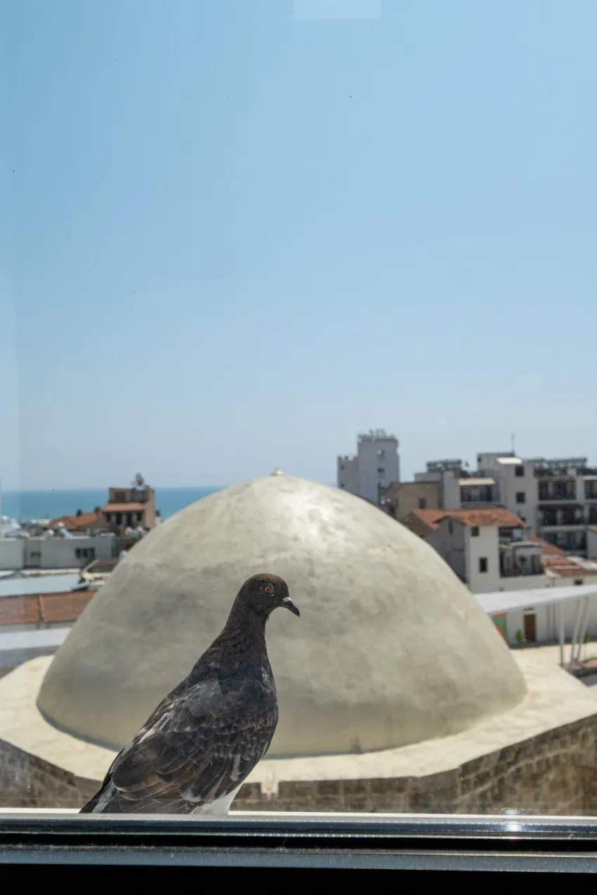 Livadhiotis City Hotel 3*-2