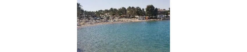 Iberotel Casa Del Mar Resort (Ex.Sentido Casa Del Mar) 4*-9