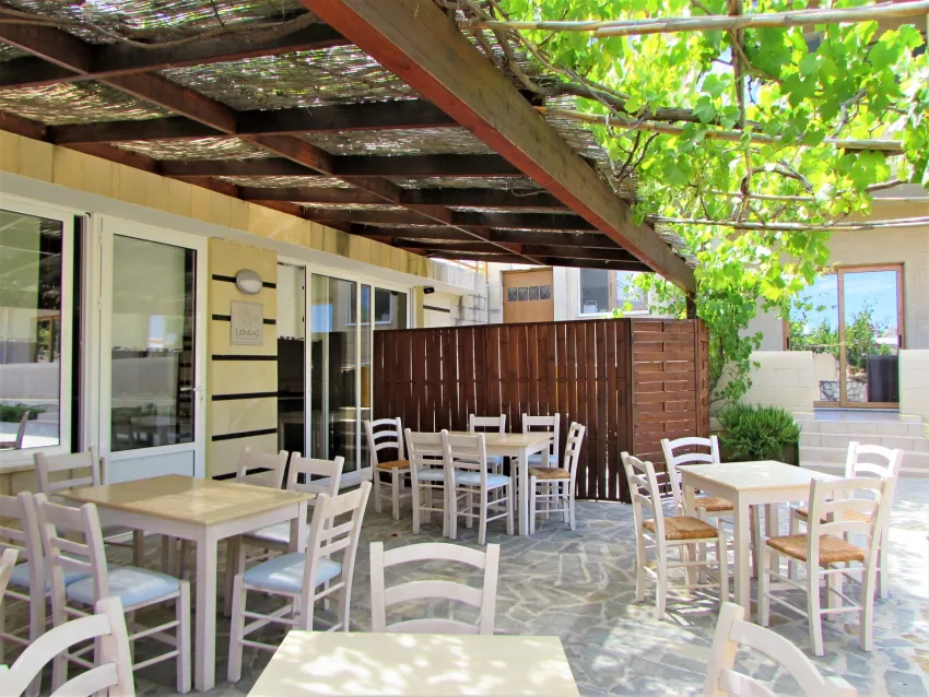 Ledras Beach Hotel 4*-14