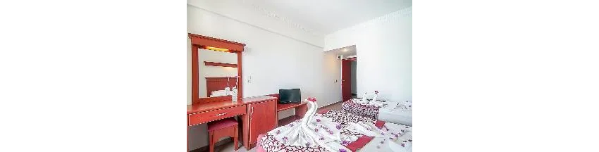 Wasa Hotel 3*-6