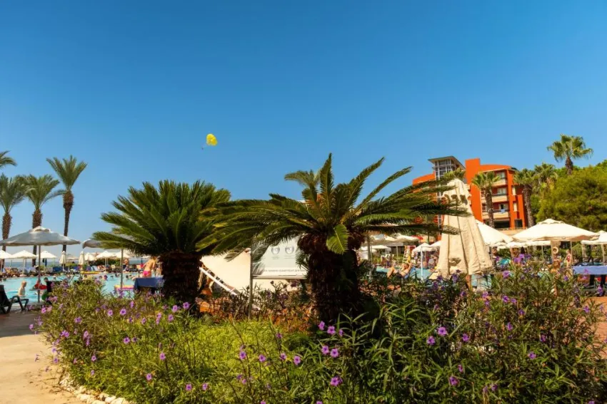 AQI PEGASOS CLUB  4*-44