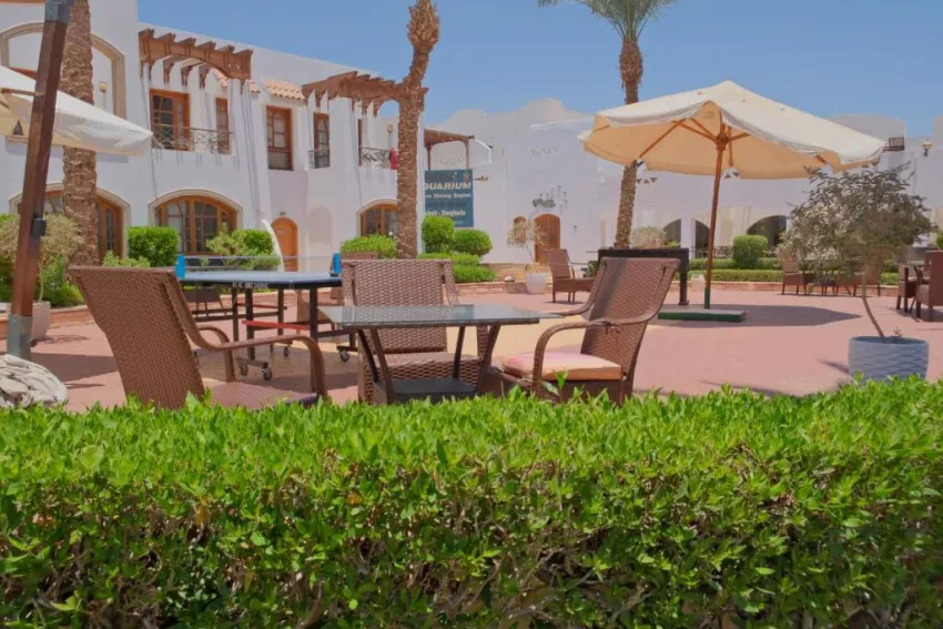 CORAL HILLS RESORT SHARM EL SHEIKH  4*-72