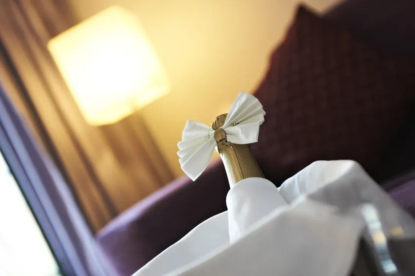 Protur Turo Pins 4*-67