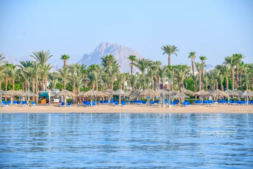 Jaz Fayrouz Resort 4*-11