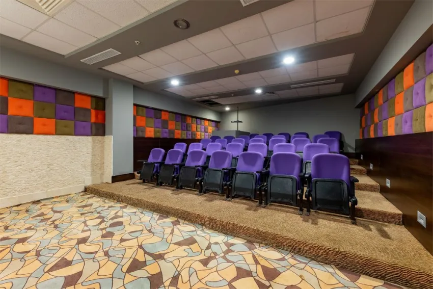 VIKING STAR HOTEL  5*-22