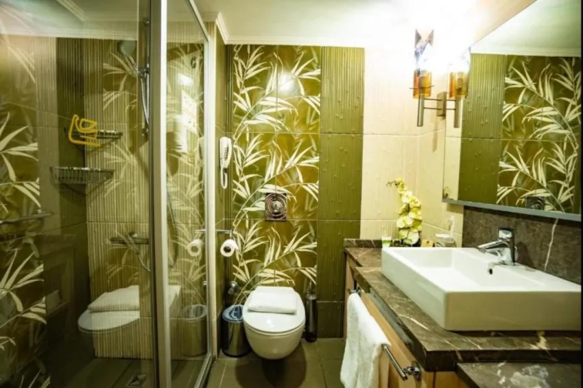 Ambassador Hotel 4*-12