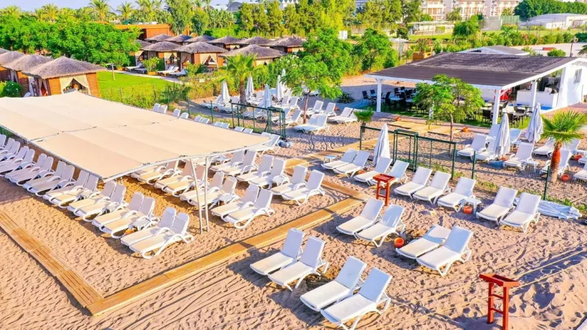 Crystal World Of Colours Comfort Collection -13