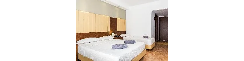 White Olive Premium Laganas 4*-7