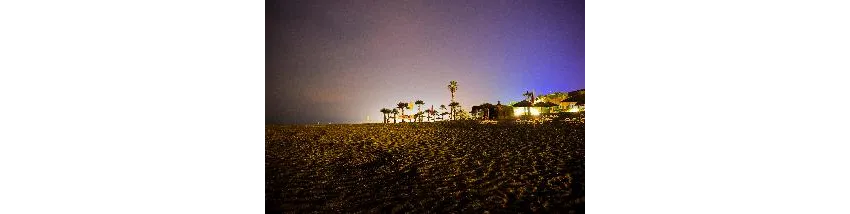 Flora Garden Beach (Adults Only 16+) 5*-99