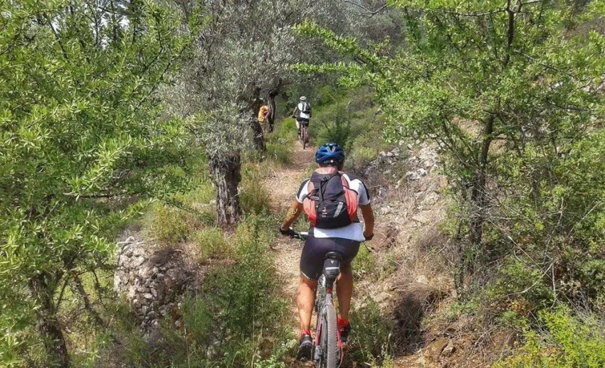 The Royal Blue Resort and Spa Crete 5*-15