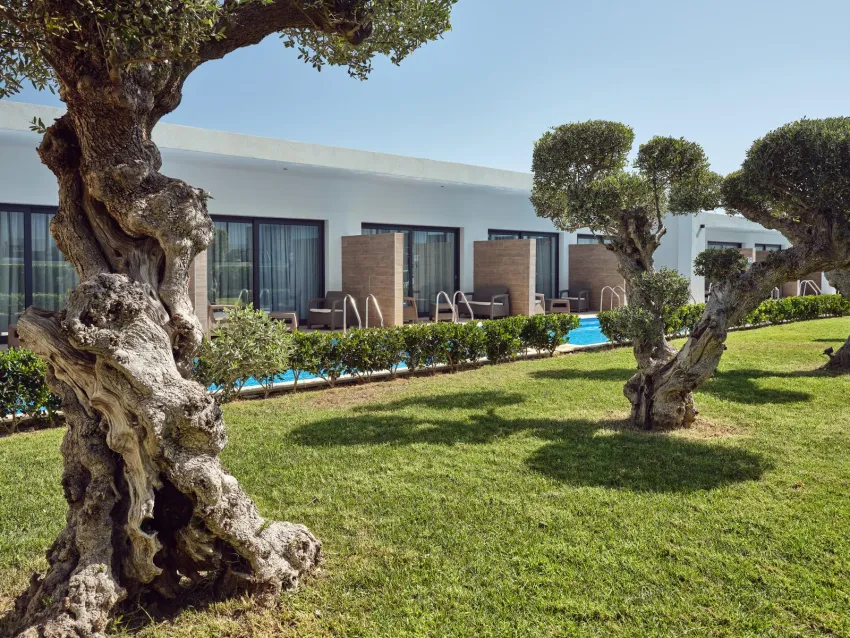 Cavo Orient Beach Hotel 4*-12