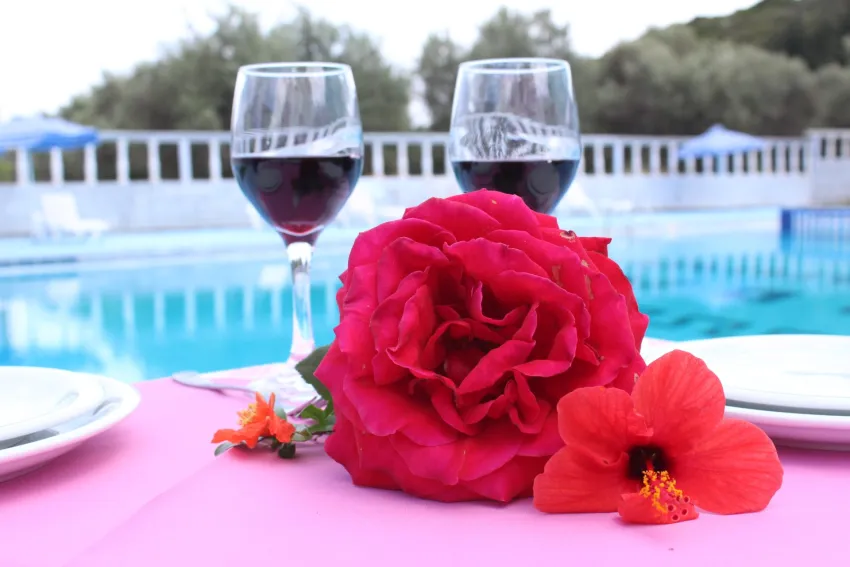 Tivoli Hotel and Apartments 3*-8