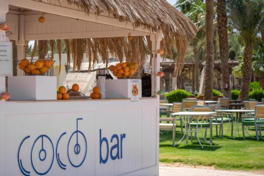 JAZ ROYAL PALMARIVA  5*-17