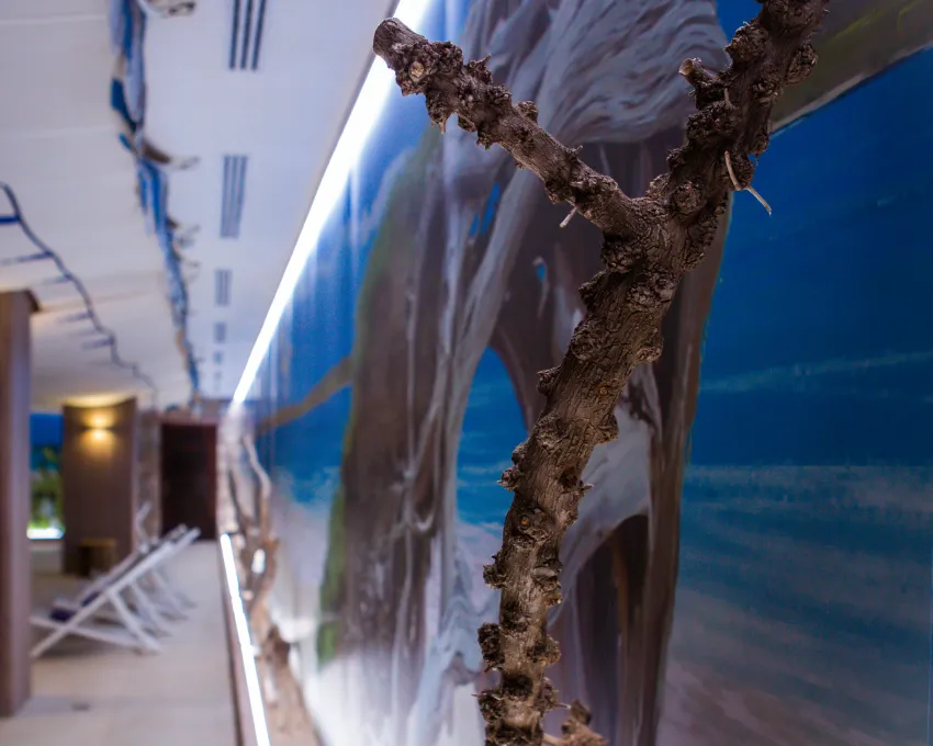 Bahia Del Sol 4*-119