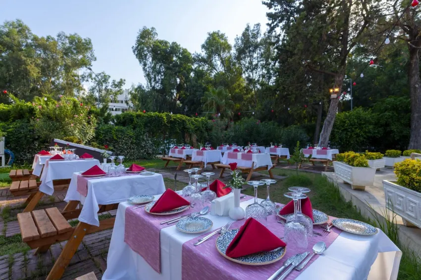 Asteria Collection Side 5*-9