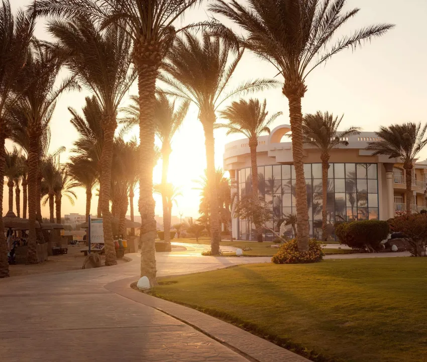 Palm Royale Soma Bay Resort 5*-60