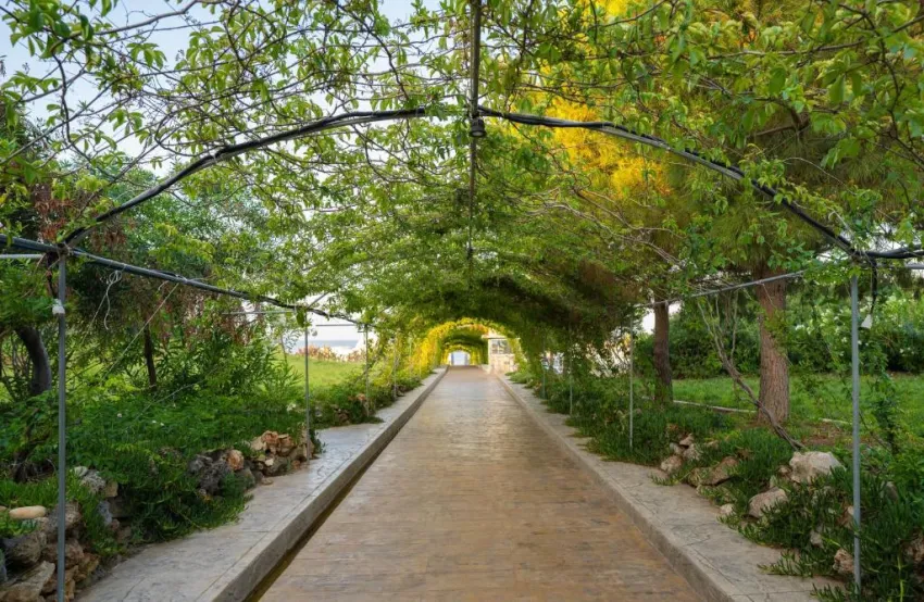 MASTER FAMILY CLUB  5*-29