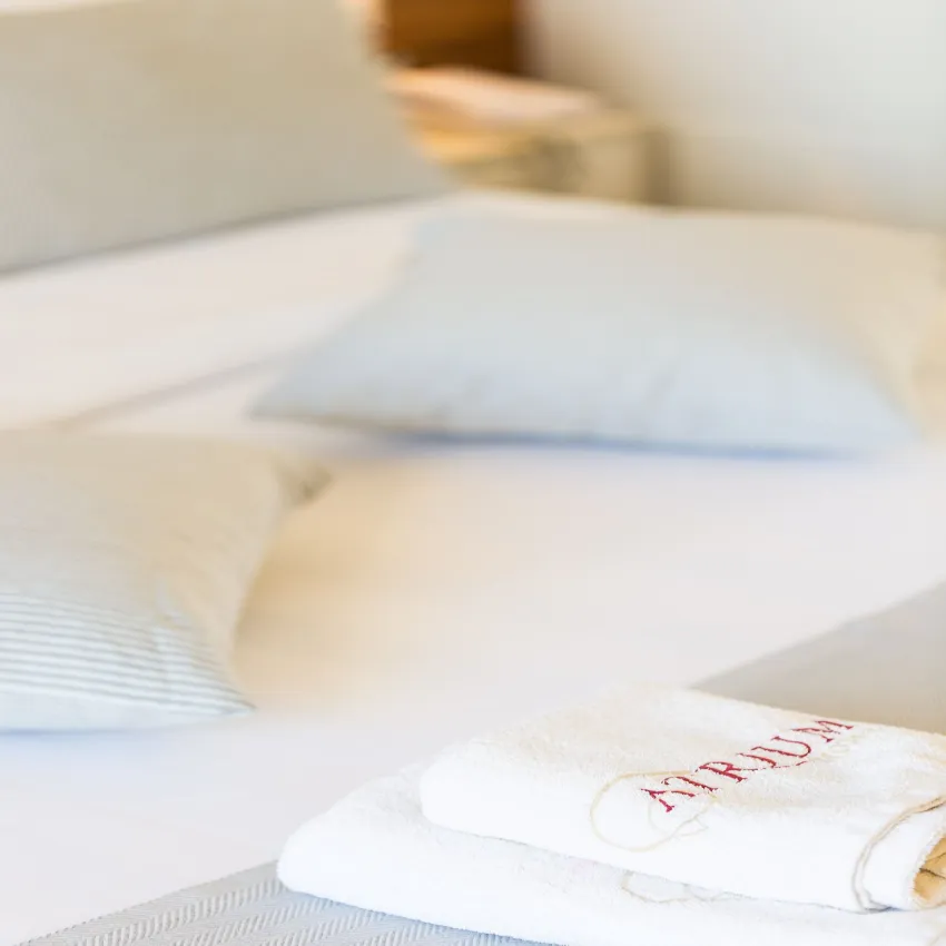 Atrium Ambiance Hotel 4*-180