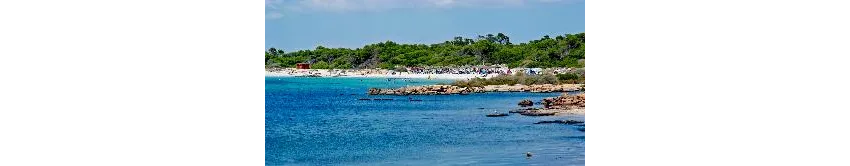 Isla de Cabrera Aparthotel 4*-74
