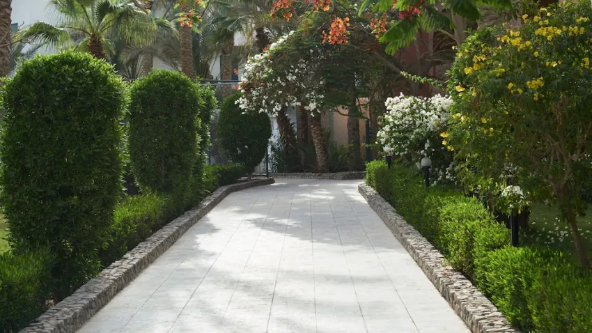 Bel Air Azur Resort (Adults Only 16+) 4*-37