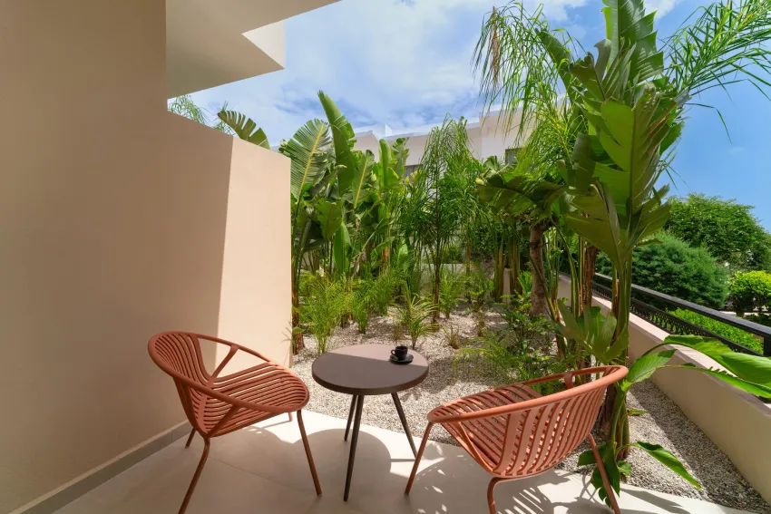 Hippocampus Hotel 3*-8