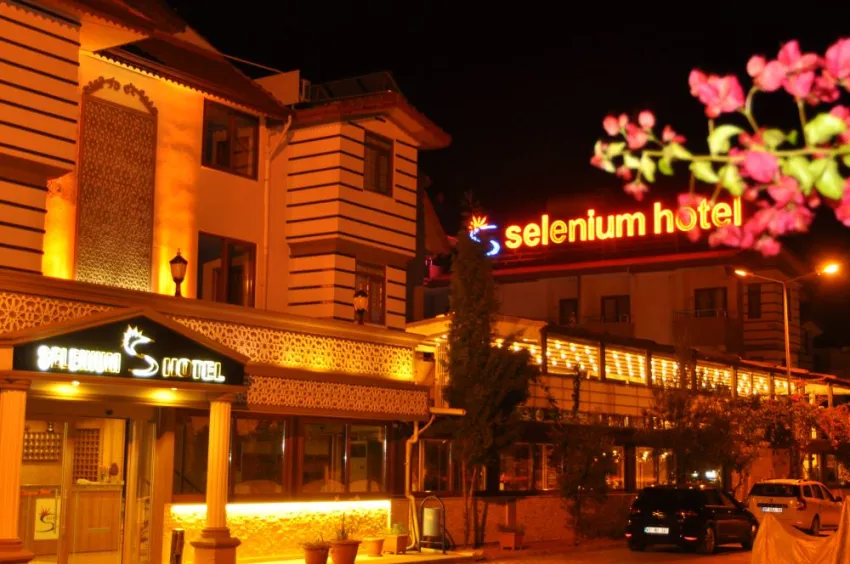 SELENIUM HOTEL  3*-12