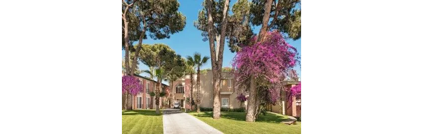 Pine Beach Belek 5*-18