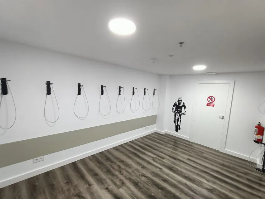 Vibra Palma Cactus 4*-28