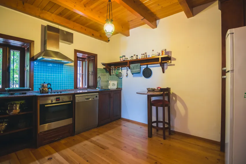 Villa Turka 4*-43