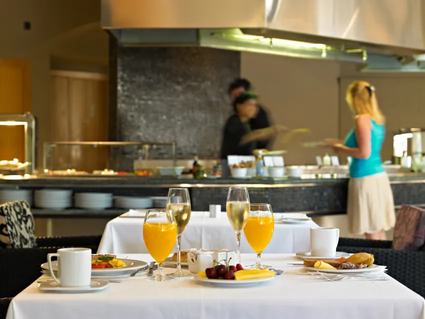 Protur Turo Pins 4*-172