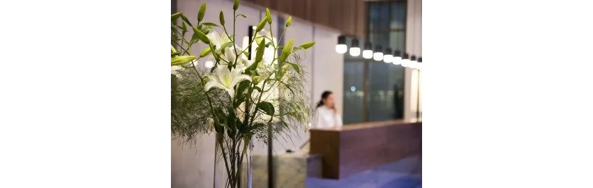 Acanthus & Cennet Barut Collection 5*-15