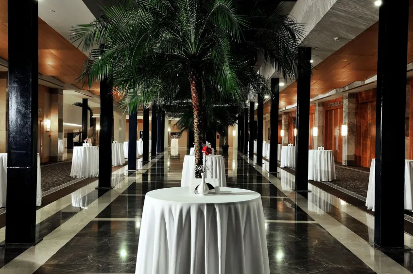 Susesi Luxury Resort Hotel 5*-54