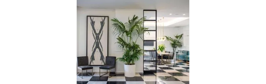 Akra V Hotel 4*-11