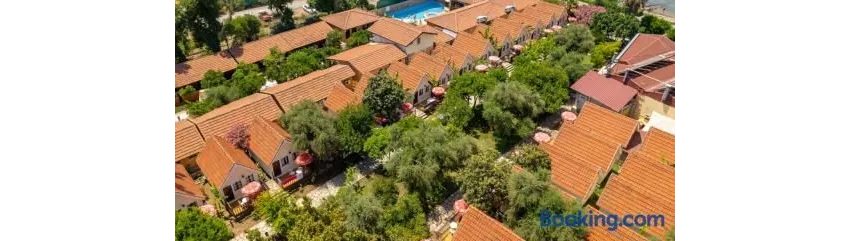 Clover Magic Nova Beach ( Ex.Nova Beach Hotel) 3*-29