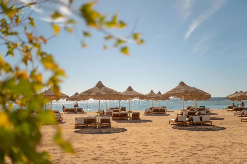 BARON RESORT  5*-60