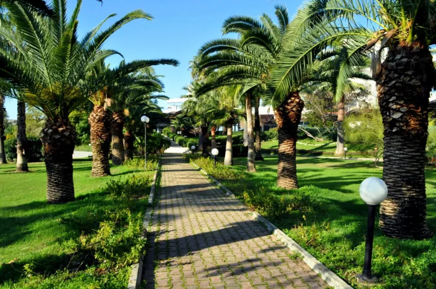 Starlight Resort Hotel 5*-13