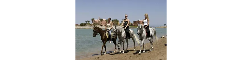 Three Corners Rihana Resort El Gouna 4*-67
