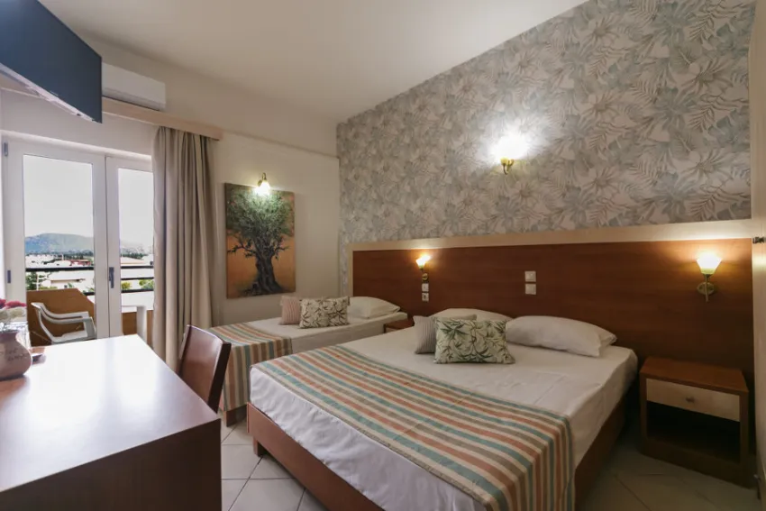 Erato Hotel Gournes 3*-10