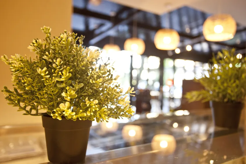 Bahia Pollensa Apart -98