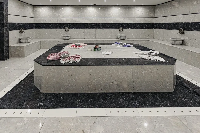 Viking Park Hotel & Spa 4*-3