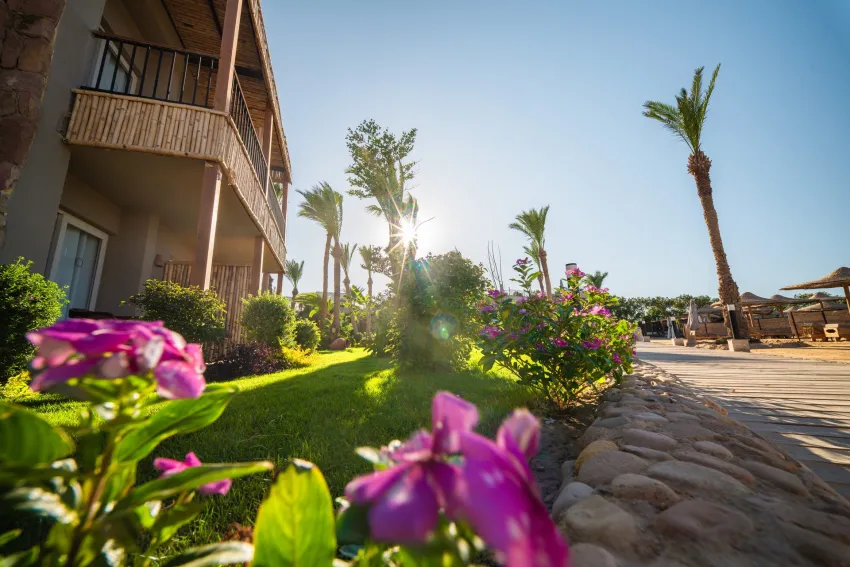 ananea Hurghada 5*-5