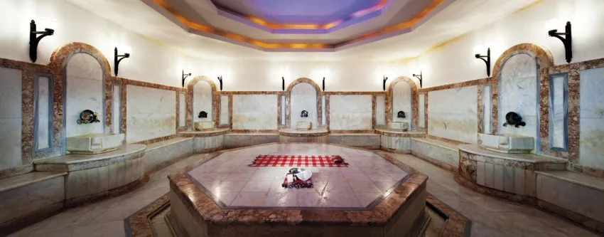 Swandor Hotels & Resort Kemer 5*-8